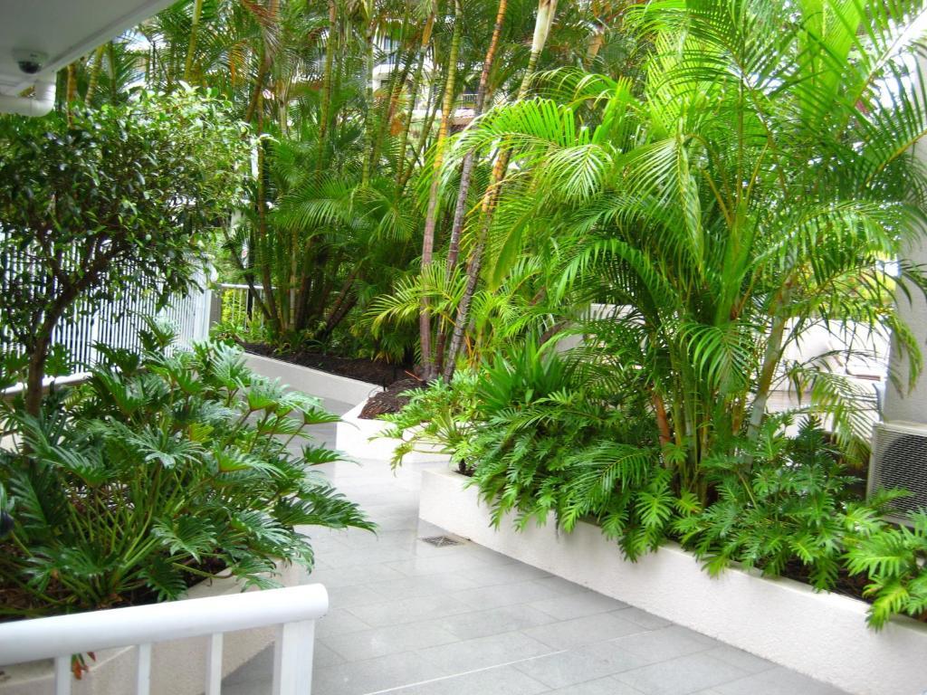 Costa D'Ora Holiday Apartments Gold Coast Exterior foto